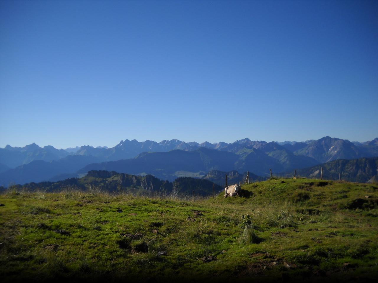 Riedbergerhorn im Sommer